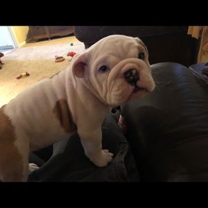 Meet your Posher, Brandon